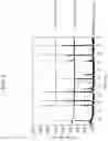 Fig. 04 - Positive active material, method of manufacturing the same, and positive electrode and rechargeable lithium battery including the same