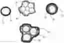Fig. 01 - Method of producing protected particles of cathode active materials for lithium batteries