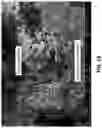Fig. 17 - HYBRID AND SOLID-STATE BATTERY ARCHITECTURES WITH HIGH LOADING AND METHODS OF MANUFACTURE THEREOF