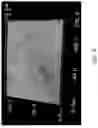 Fig. 09 - Composite electrolytes