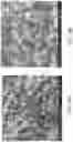 Fig. 40 - Composite electrolytes