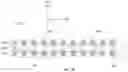 Fig. 16 - Dual-polarized radiating element and antenna