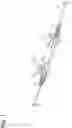 Fig. 02 - Connector
