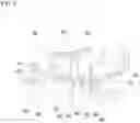 Fig. 06 - ELECTRIC DEVICE