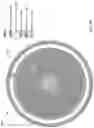 Fig. 10 - Compact, modular, pump or turbine with integral modular motor or generator and coaxial fluid flow
