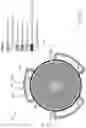 Fig. 12 - Compact, modular, pump or turbine with integral modular motor or generator and coaxial fluid flow