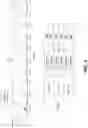 Fig. 05 - Switched reluctance motor control system