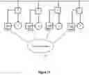 Fig. 13 - Sensitive directional element for generator protection