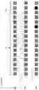 Fig. 08 - Distributed CRC polar codes