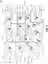 Fig. 03 - Wireless organization of electrical devices using broadcast signals