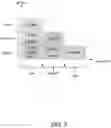 Fig. 03 - Controlling cell-specific reference signal (CRS) bandwidth on a lean carrier based on another reference signal bandwidth