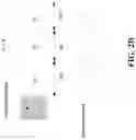 Fig. 05 - Transmission based on data blocks