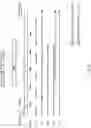 Fig. 03 - USER TERMINAL AND RADIO COMMUNICATION METHOD