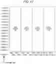 Fig. 48 - Transmitting apparatus