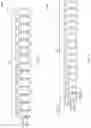 Fig. 03 - Waveform multiplexing in millimeter wave band