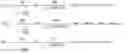 Fig. 04 - Performance measurement on a multipoint packet flow
