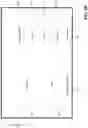 Fig. 04 - Wireless communication between medical devices using multiple communication protocols
