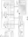 Fig. 13 - Forming activity streams across heterogeneous applications