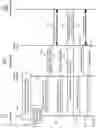 Fig. 11 - Cross-device segmentation offload