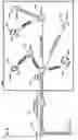 Fig. 12 - Cross-device segmentation offload