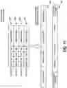 Fig. 19 - High-speed data packet generator