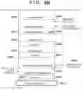 Fig. 12 - Communication system, communication apparatus, control method, non-transitory computer-readable storage medium, and server apparatus