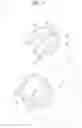 Fig. 08 - SHOOTING APPARATUS