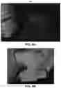 Fig. 06 - Systems and methods for processing low light images