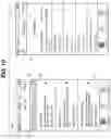 Fig. 11 - System and method for synchronizing camera footage from a plurality of cameras in canvassing a scene