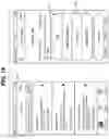 Fig. 15 - System and method for synchronizing camera footage from a plurality of cameras in canvassing a scene