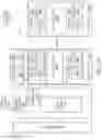 Fig. 29 - Lossless compression for multisample render targets alongside fragment compression