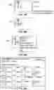 Fig. 11 - Automated process for segmenting and classifying video objects and auctioning rights to interactive sharable video objects