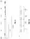 Fig. 07 - Sound Alarm Notification, System, Apparatus and Method