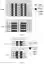 Fig. 03 - Uplink control transmission using physical uplink control channel (PUCCH)