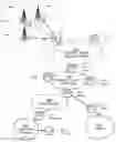 Fig. 01 - Data parking within offline community system