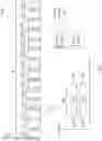 Fig. 07 - Variable cyclic prefix (CP) within a transmission slot in millimeter wave band