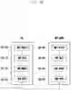 Fig. 47 - Structure of MAC sub-header for supporting next generation mobile communication system and method and apparatus using the same