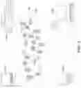 Fig. 03 - Pausing functions of an assistant device during an active telephone call