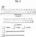 Fig. 06 - Method and device for transmitting and receiving plurality of D2D signals in wireless communication system