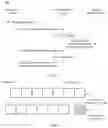 Fig. 04 - Measurement signal sending method, indication information sending method, and device
