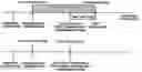 Fig. 01 - Method and apparatus for processing uplink data by DRX-mode terminal in mobile telecommunication system