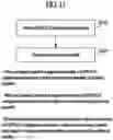 Fig. 10 - Method for performing random access procedure and device therefor