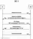 Fig. 06 - Method for performing random access process and device therefor