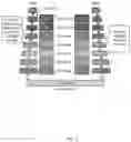 Fig. 02 - Bluetooth low energy backed smart lighting system