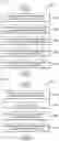 Fig. 04 - Method of and apparatus for releasing mission critical data communication