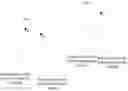 Fig. 06 - Lighting for biomechatronically enhanced organism