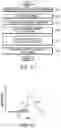 Fig. 09 - Laser apparatus for generating extreme ultraviolet light