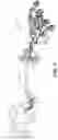Fig. 02 - Implement offset arm