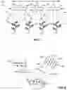 Fig. 05 - Method of growing plants using LED light and LED light system employing same