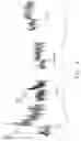 Fig. 05 - Heripenes with pain-relieving effect, active substances of mycelium and the preparation method thereof, and pharmaceutical composition containing the heripenes or active substances